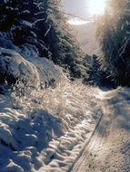 mountain snow Italy