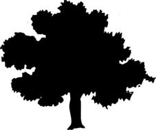 tree silhouette on white background