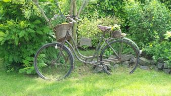 bicycle with a wicker basket