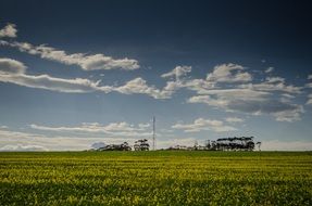 grass fields sky landscapes nature