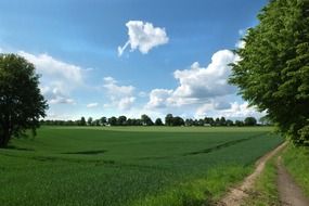 dirt road near the green field