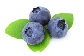 raw fresh blueberry