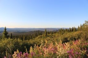 panoramic view of the Dempster highway amid a picturesque landscape