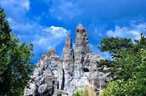 hagenbeck zoo is a park with natural habitats