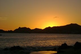 sunset over the beach in Cabo San Lucas