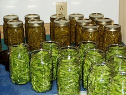 green beans canned