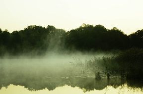 Morning fog on a lake