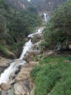 waterfall among the nature of Sri Lanka