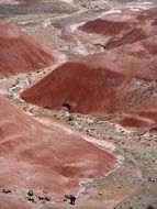 Landscape of Painted desert in Arizona