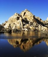 joshua tree national park view
