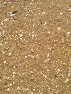 Sand near the ocean