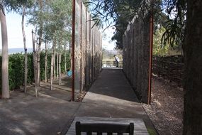 Landscape of the trees and bench