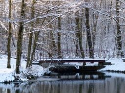 bridge in the city park in winter