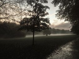 Landscape of Wroclaw