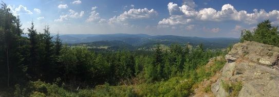 Green forest mountain panorama