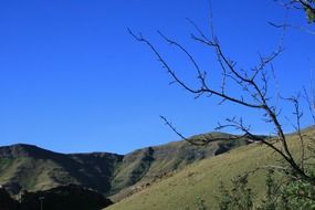 Beautiful and colorful mountain veld under blue sky in Africa