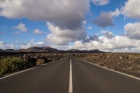 the road among the desert goes into the distance