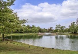 Lake in the park on the landscape