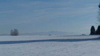 snow panorama with trees