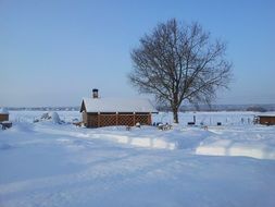 cottage in a village in Russia