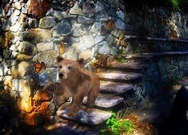 little bear on a stone staircase