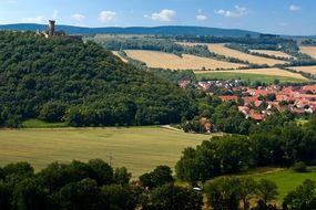 distant view of a village near a forest