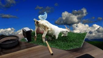 goat nature landscape