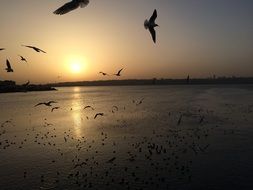 Sunset in Istanbul