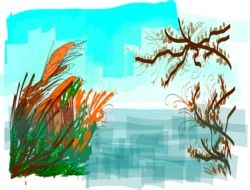 graphic image of the river in the reeds