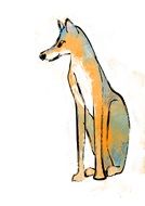 painted red fox