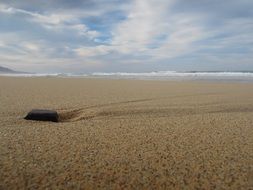 perfect beach sand stone