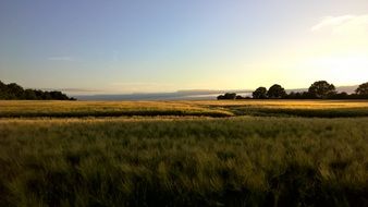 evening sunset over farm field