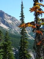 idyllic mountain landscape on a sunny day