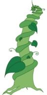 green beanstalk
