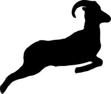 chamois's silhouette