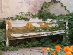 old wooden bench in the garden