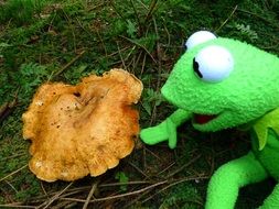 kermit frog toy and natural mushroom