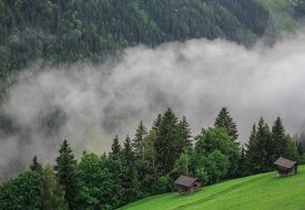landscape of the green forests and fields are on a mountains
