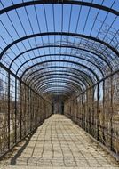 metal canopy in the garden