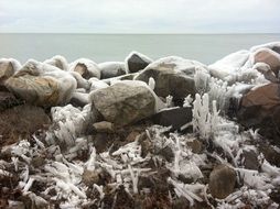Frozen plants and ice on rocks