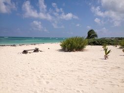 Beach in Mexico
