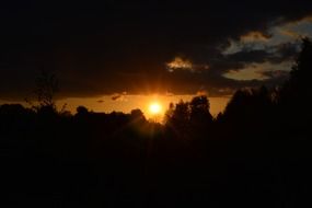 sunset over forest outlines