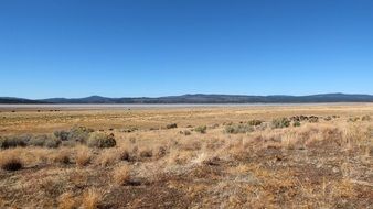 prairies in the vicinity of Klamath Falls, Oregon