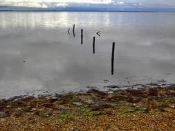 north sea watts