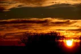 golden sky and bright sun in the east