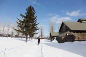 winter in hokkaido