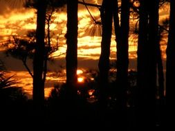 florida sunset