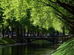 small pond with green trees in germany