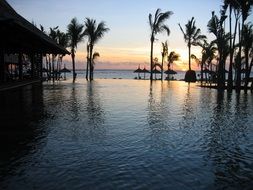 sunset on the background of the pool