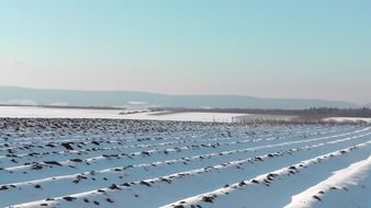 snowy arable field, winter landscape